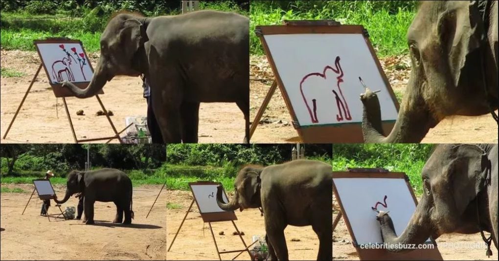 elephant painting with trunk        
        <figure class=