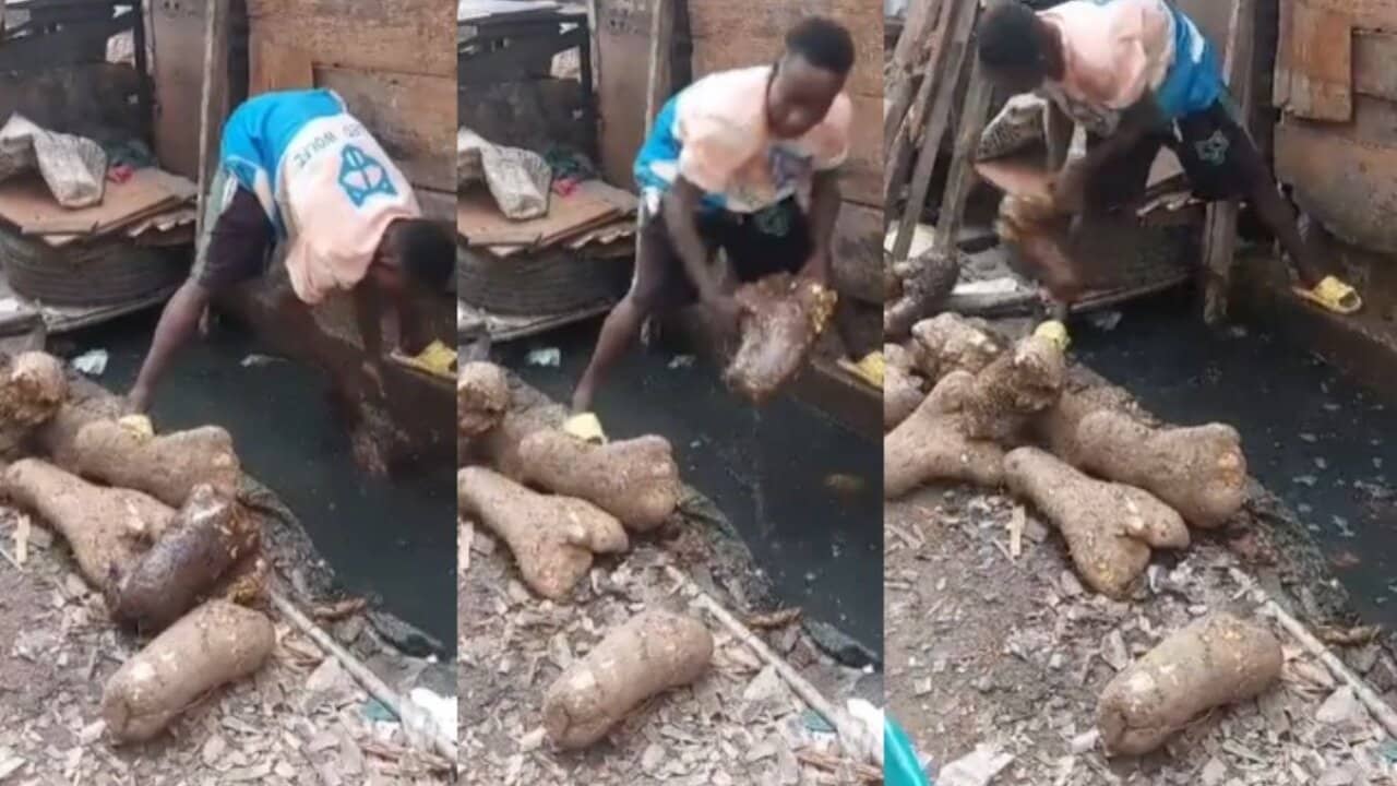 Trending video of a market man washing his yams in dirty gutter water causes stir