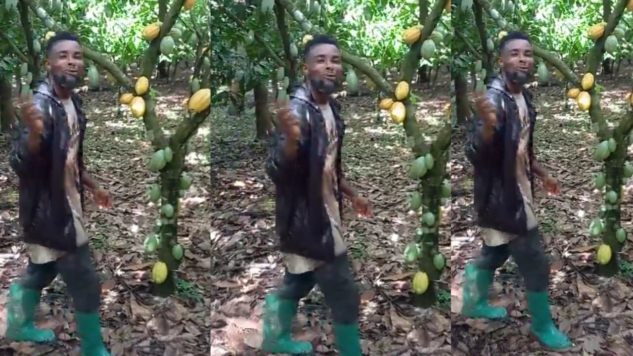 Cocoa farmer